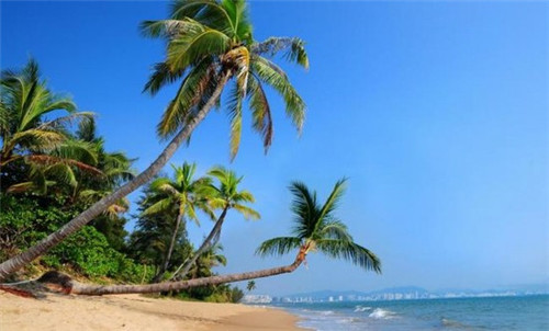 多那之咖啡蛋糕烘焙