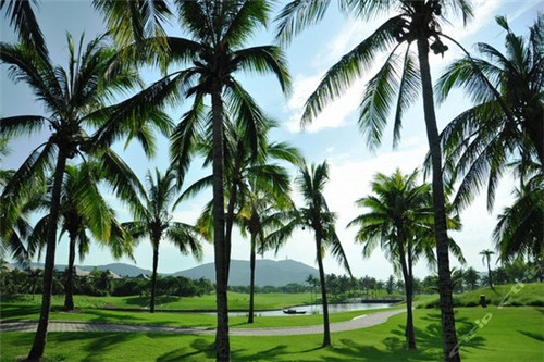 杨光会鲜货火锅