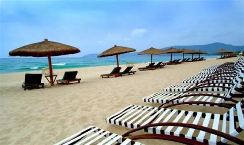 美颜素猪肚鸡汤