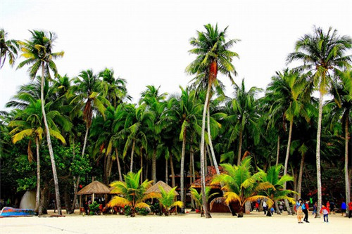 小粉哥花甲米线