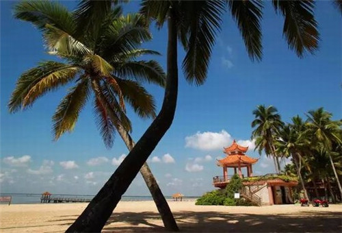 重庆姜小鱼纸包鱼