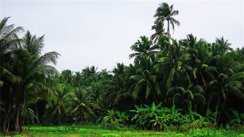 戴家小区是什么物业的（戴家小区地址）