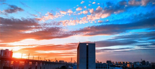 有匹马叫飙风呀（有匹马的车标志图片）