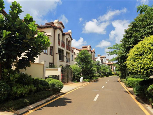 观音山景点有什么特点（观音山景区特点）