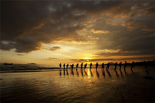 育雏时亲鸟怎样决定该先喂哪只幼鸟。（亲鸟与雏鸟是什么关系）