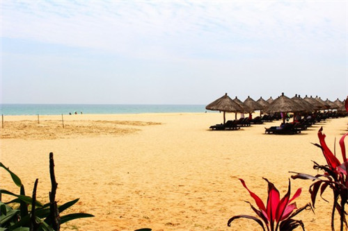 2026防霉胶加盟店什么项目还能赚钱，防霉胶真的防霉吗